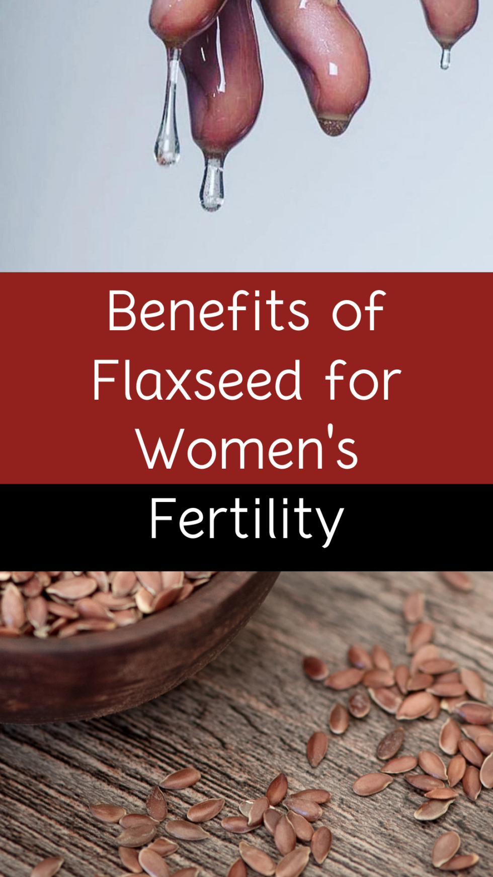 3 Benefits of Flaxseed for Women's Fertility Nattassia Wynter