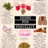 Sistah Healthyself Herbal Fertility Herbs Course - Image 7